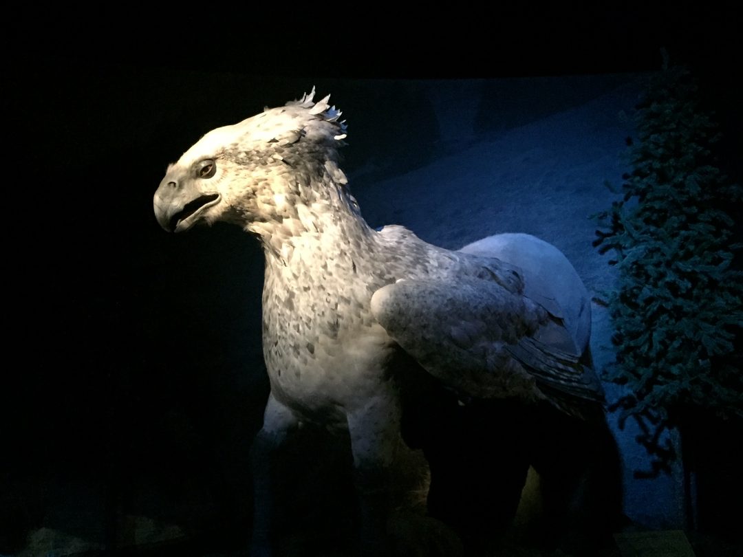 Harry Potter Exhibition